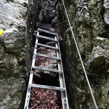 Gyarmaty 아파트 *