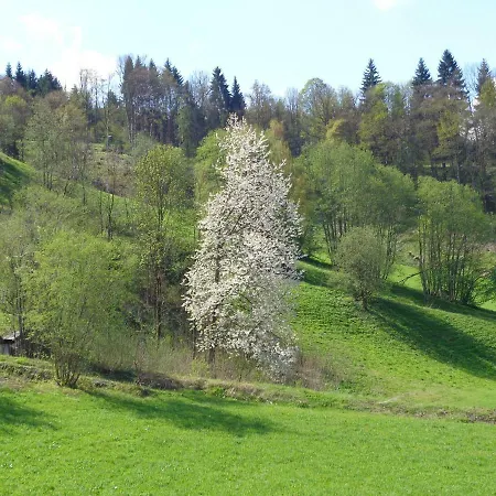 Gyarmaty Sankt Johann in Tirol