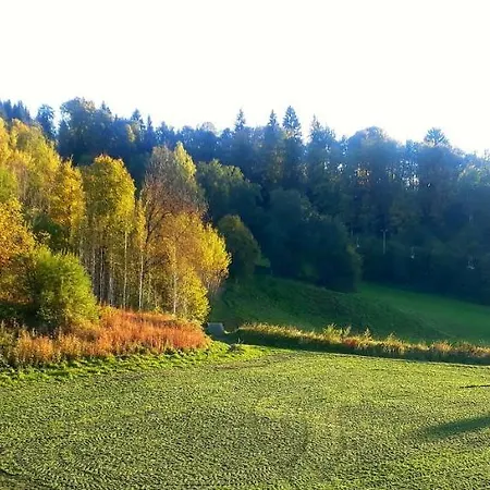 Gyarmaty Διαμέρισμα
