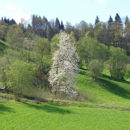 Gyarmaty Sankt Johann in Tirol